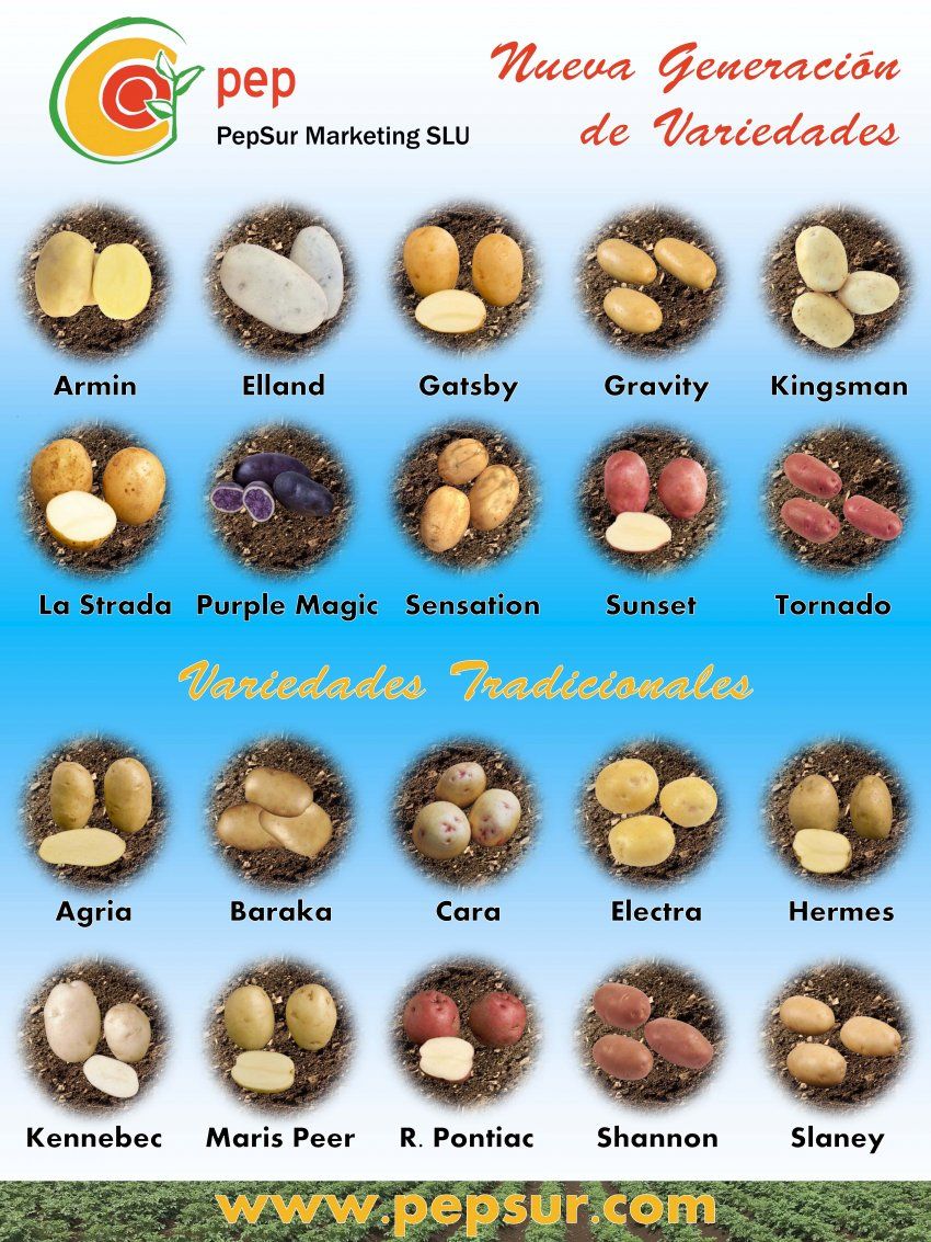 POSTER VARIEDADES PEPSUR 2018 POSTER VARIEDADES PEPSUR 2018