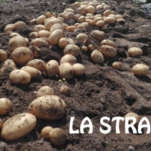 LA STRADA