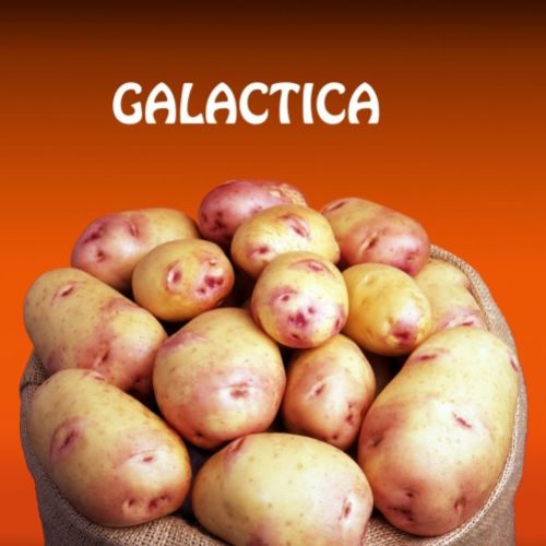 GALACTICA