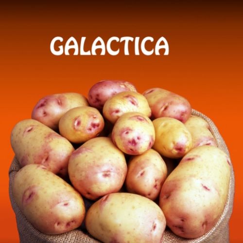 GALACTICA